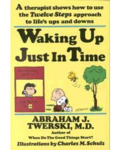 Waking Up Just in Time [Paperback]