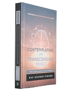 Contemplating and Transcending Mind