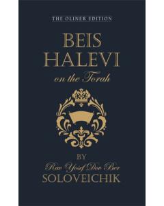 Beis Halevi on the Torah