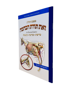 Zos Toras HeBehaima - Maseches Chullin