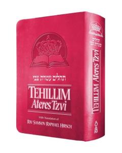 Tehillim Ateres Tzvi