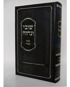 <p>Shuvi Venechze - Shabat Tefila</p> <p>____ _____ - ___ ____</p> 