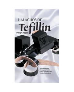 Halachos of Tefillin