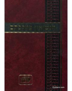 HANISUIN KEILCHATAM 2V