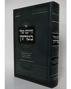Chaim Shel Bitachon - HAderech Lechaim Shlevim