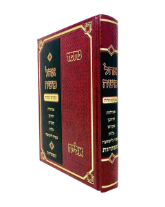 Ohel Moshe Shainerman Mo'adim Mikdash Galut Tish'a B'Av