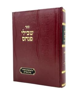 SHVILEI PINCHAS BERESHIS 1 TORAH FRIDMAN