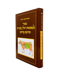 MEOR LEMASECHET CHULIN 1V