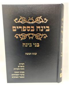 Bina Basfarim Chanuka Bnei Bina Feldman Moadim
