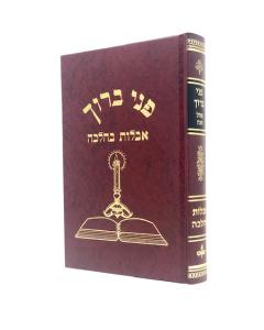 Pnei Baruch Aveilut