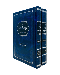 Ani LeDodi Shiurim BeTefilah Tefilos chol Volume 1