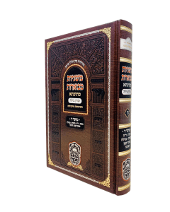 Mishnayos Mevuaros Mesivta 8 Moed 4 Beitza - Chagiga oz Vehadar
