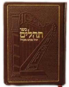 Tehillim Ohel Menachem Mendel - (Tzivos Hashem Edition)