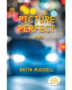 Picture Perfect - A Novel [Paperback]
