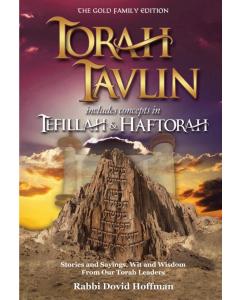Torah Tavlin Vol. 3  Includes Concepts in Tefillah and Haftorah