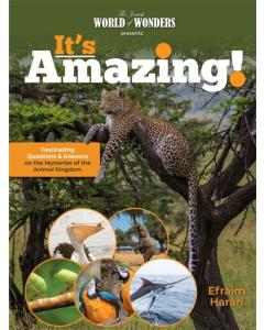 It's Amazing! - Animal Kingdom