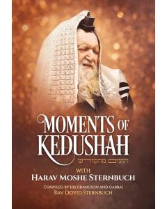 Moments of Kedushah
