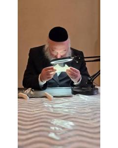 Mezuzah Scroll Checking