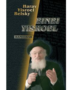 Einei Yisroel  Bamidbar Rabbi Belsky