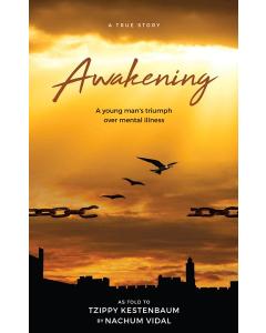 Awakening by Nachum Vidal [Hardcover]