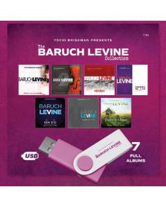 The Baruch Levine Collection - USB