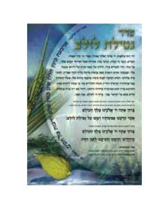 Seder Netilas Lulav Laminated Sukkah Poster