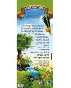 Seder Netilas Lulav Long Laminated Sukkah Poster