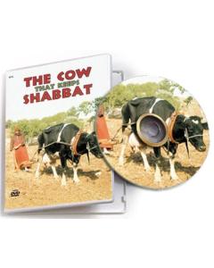 Greentec Movies: The Cow That Keeps Shabbat - DVD
