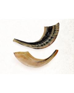 Kids Ram Shofar
