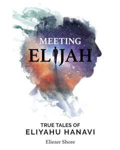 Meeting Elijah [Paperback]