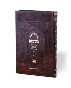 <p>Talmud Bavli Mesivta - Nida Volume 1 Medium [Hardcover]</p> <p>______ ____ ___ _ - ______</p> 