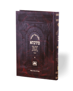Talmud Bavli Mesivta - Pesachim Volume 4 Medium [Hardcover] ______ ____ _____ _ - ______ - ____ __-__ 