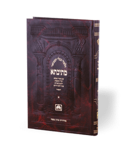 Mesivta Chullin Volume  6 - Medium