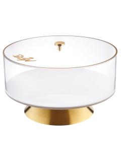 Matzah Box - Raised Metalucite