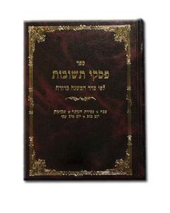 Piskei Teshuvos Rabinovitz Volume 3-1 Shabbos 242-300