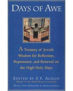 Days of Awe [Paperback]