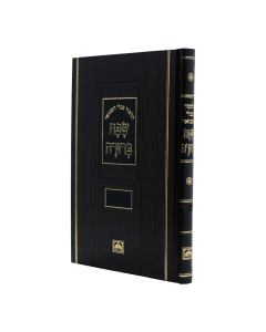 Talmud Bavli Hamevuar: Safa Berurah #4 - Pesachim - Hebrew [Hardcover] - Large Size 2-73
