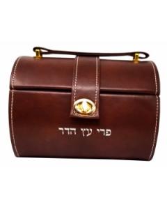 Faux Leather Esrog Box With Handle And Lock - Brown