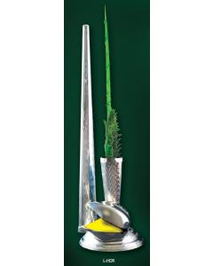 Hadar 4 Minim Lulav & Etrog Holder (Non-Metallic)