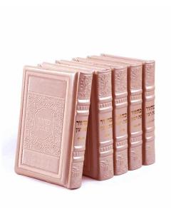 Machzorim Eis Ratzon 5 Volume Set Silvery Ashkenaz [Hardcover] - Elegant Series