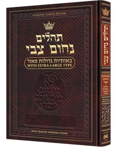 Tehillim Nochum Tzvi - Extra Large Type Tehillim - With English Introductions