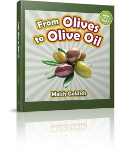 From Olives to Olive Oil [Hardcover]