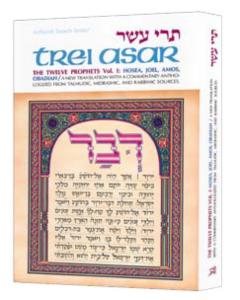 Trei Asar I / Twelve Prophets I - Full Size