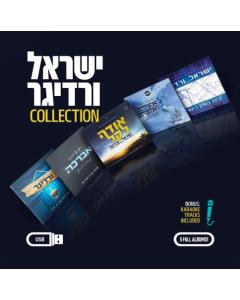 Yisroel Werdiger Collection - USB