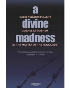 A Divine Madness [Hardcover] Avigdor Miller
